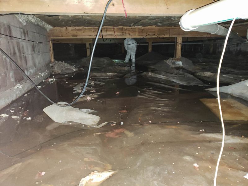 Wet Basement Solutions in Fort Collins, CO